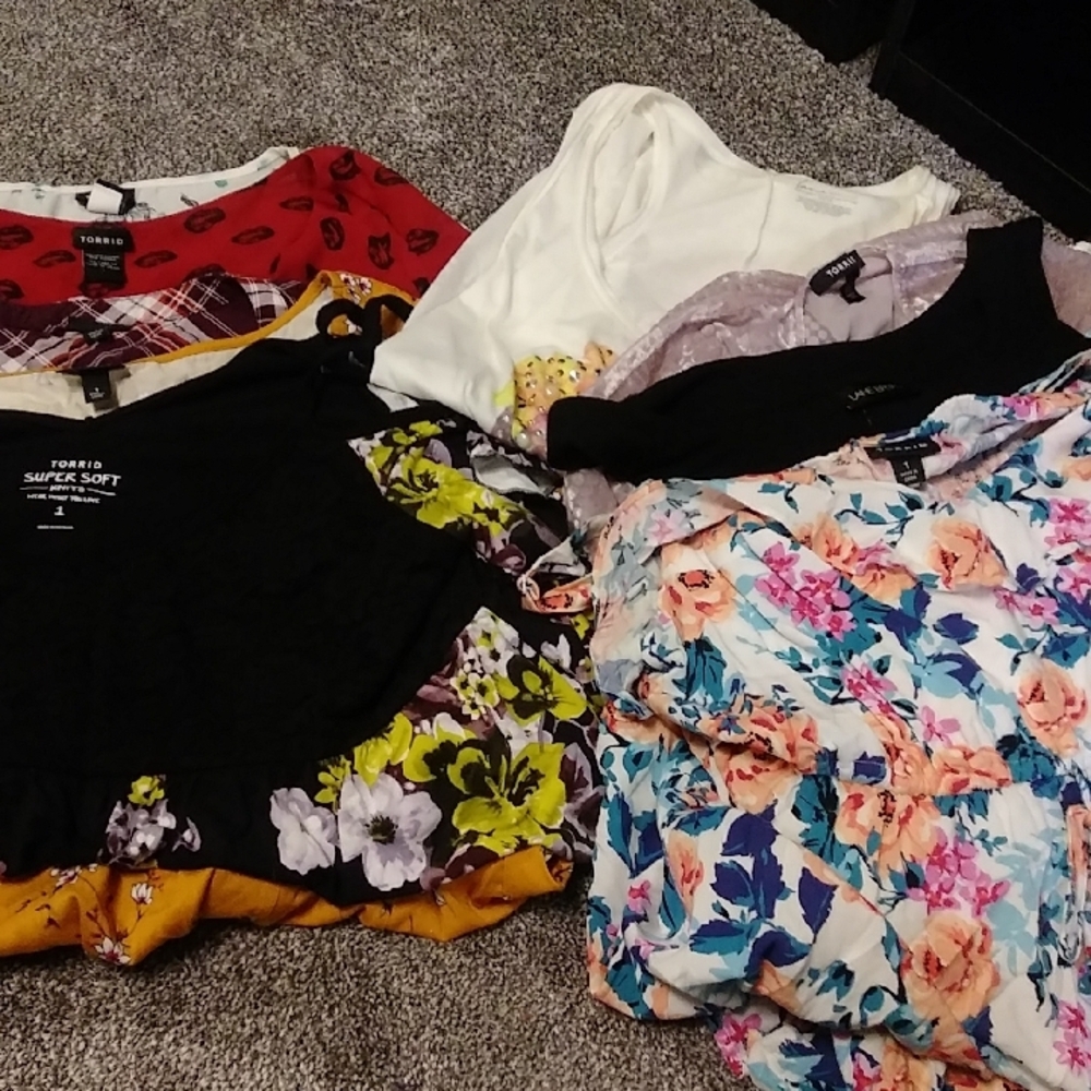 Torrid Mystery box